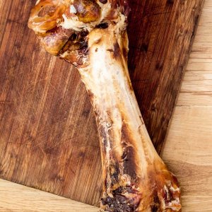 Ostrich Dino Bone - A hard long-lasting chew-0