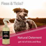 Khakibos Natural Tick & Flea Repellent - 500ml