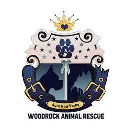 Donate Dog Food To Woodrock Animal Rescue