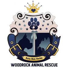 Donate Dog Food To Woodrock Animal Rescue-0