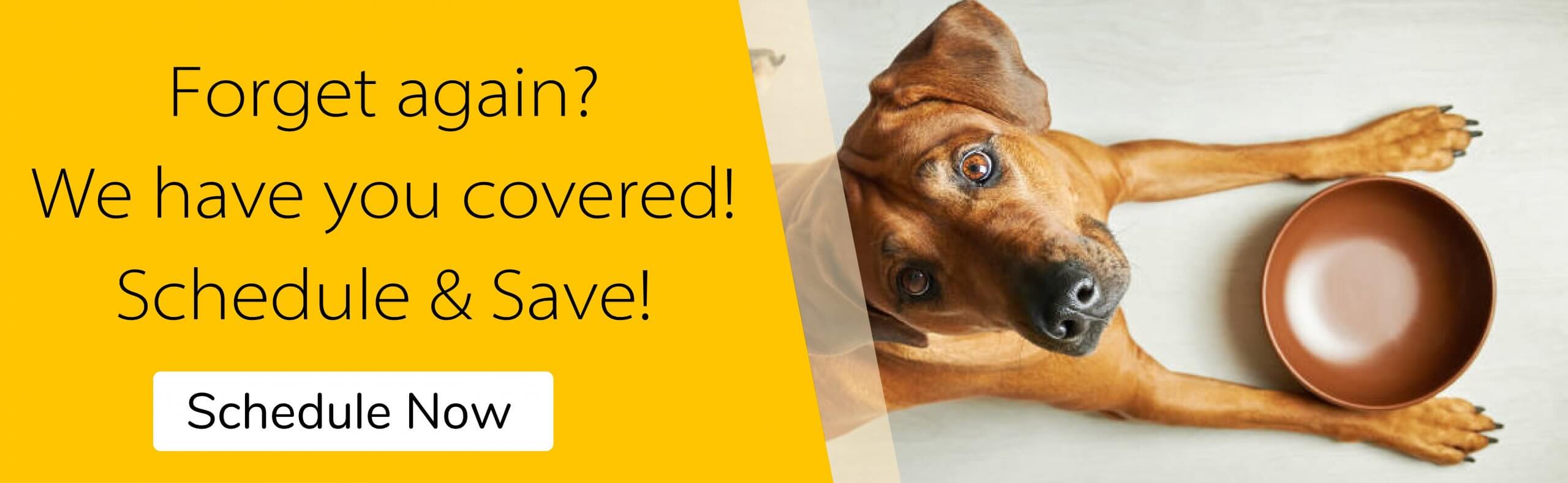 Holistic Pet Nutrition Vondi's Natural Pet Food South Africa