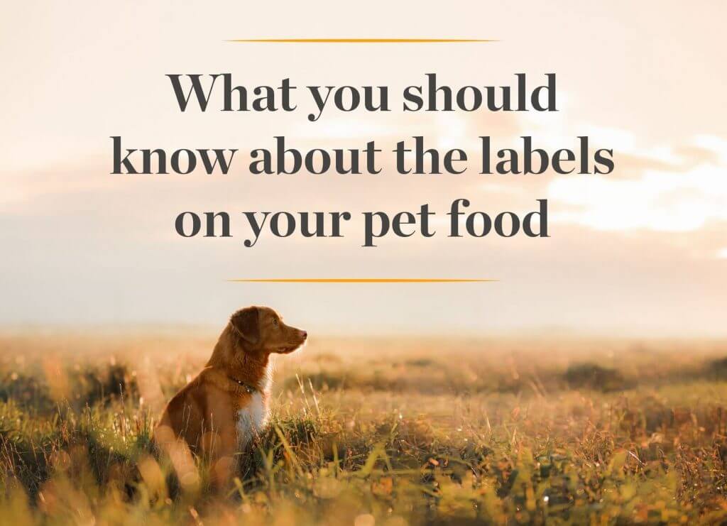 Surprising Food Label Tricks Every Dog Owner Should Know