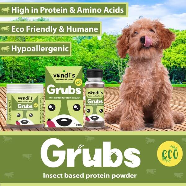 insect protein for dogs