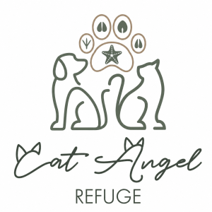 Cat Angel Refuge T/a Angels Refuge SA
