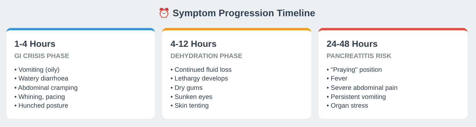 Festive Treats Toxic to Dogs: The Hidden Dangers